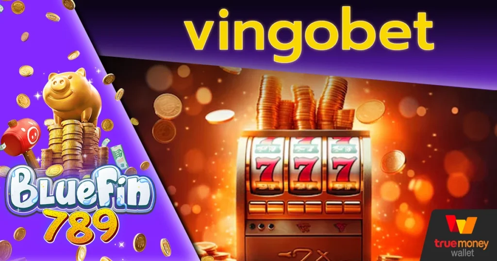 vingobet